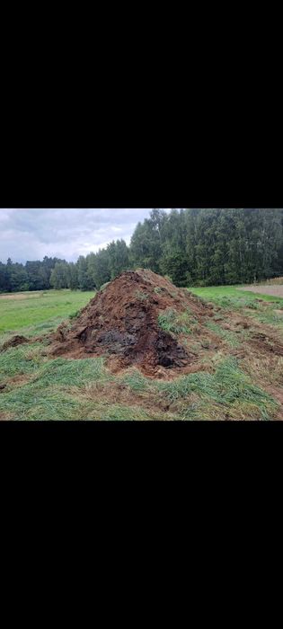 Obornik od Kaczek