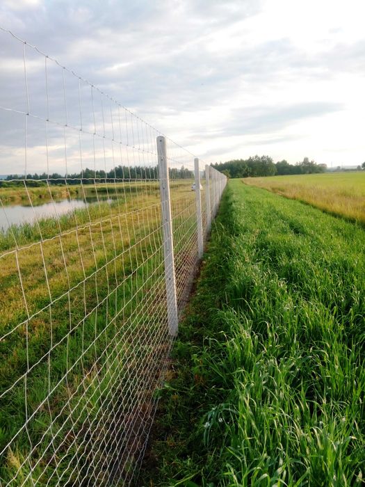 Ogrodzenie z siatki leśnej tymczasowe budowlane FAKTURA VAT od 23 zł