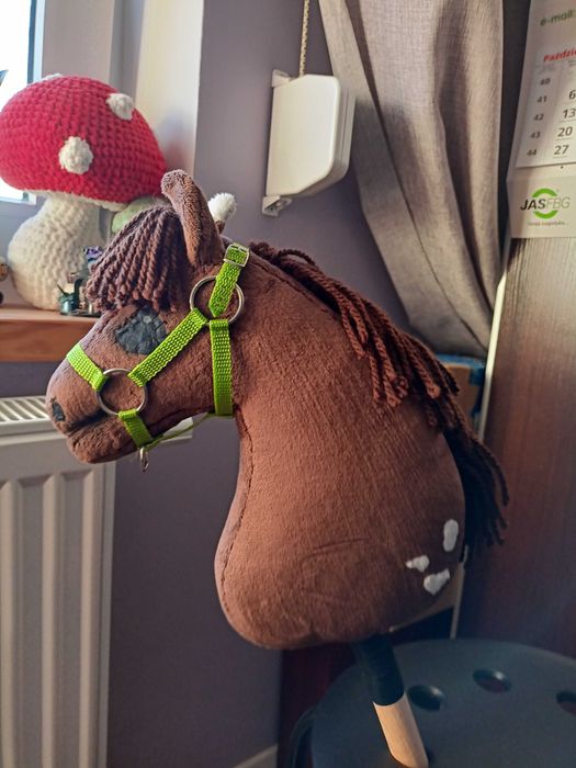 Hobby horse Rdn ciemno kasztanowaty