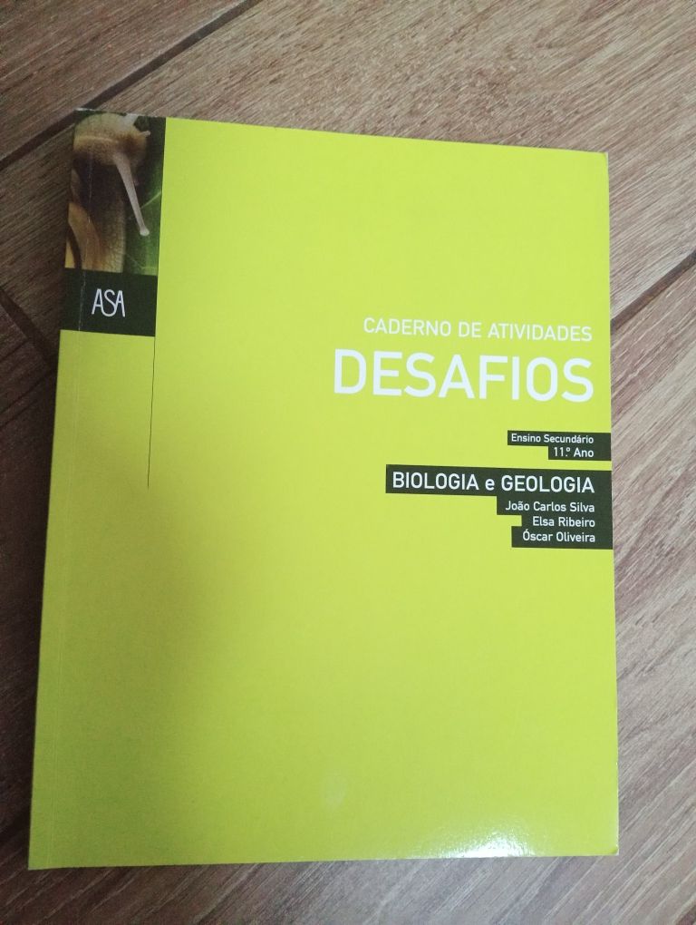 Desafios 11 ano - caderno de atividades