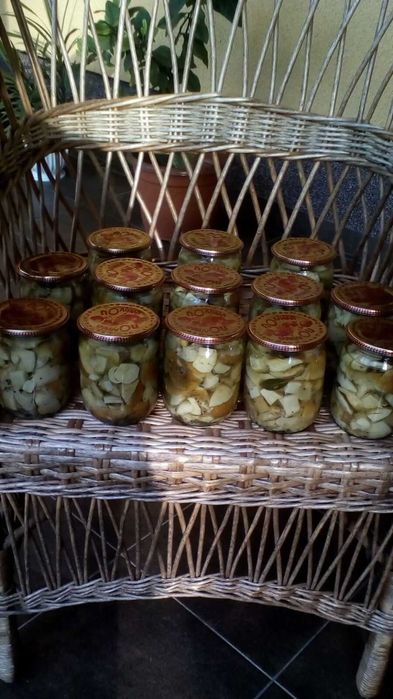 Гриби білі,приправа,  мікс,  сушені на дровах( різні)