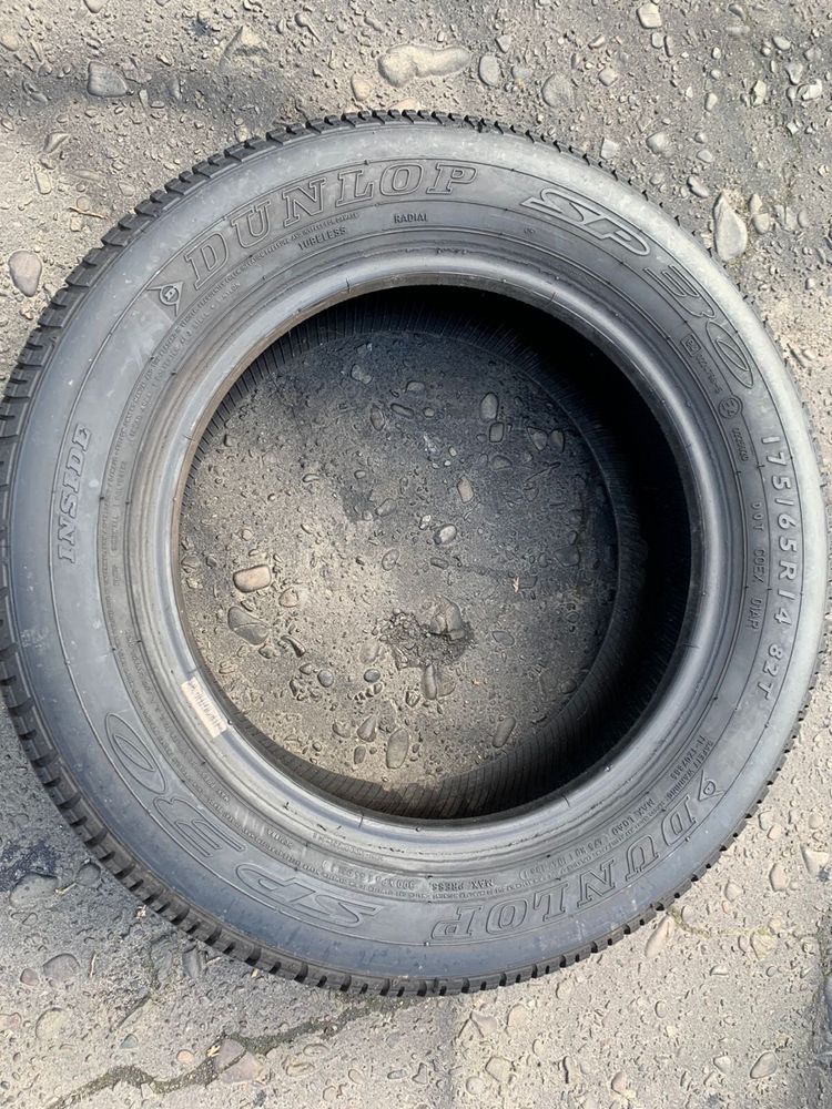 Шини 175/65 R14 Dunlop літо 2021р,6,5-6 мм