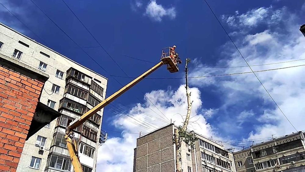 Комплексная уборка участков — покос, спил, вывоз мусора. Днепр область