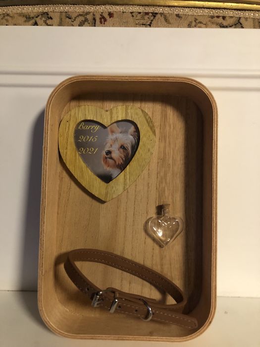 relikwiarz na sierść,  na prochy dla psa, kota