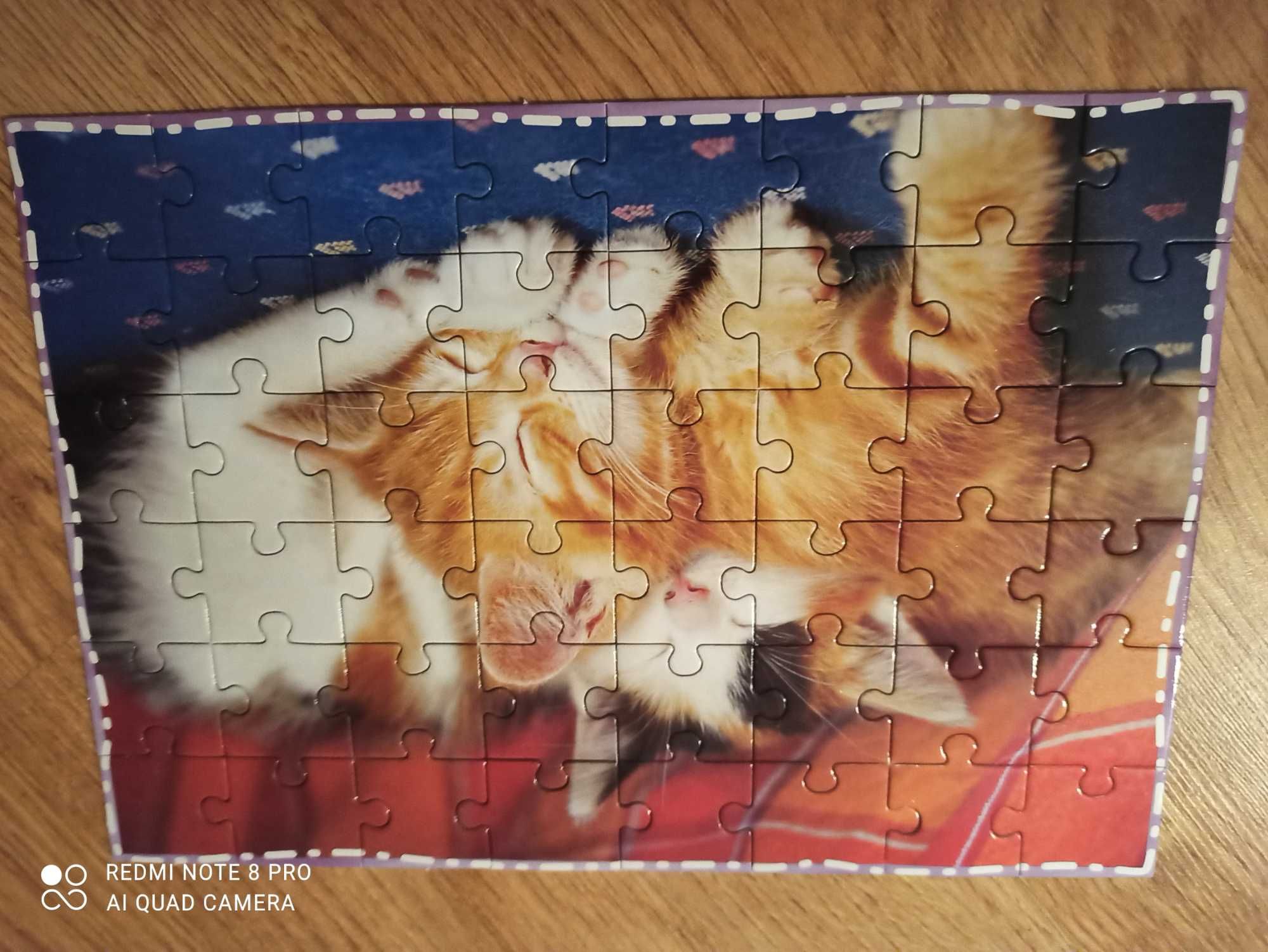 Książka z puzzlami- zwierzęta domowe