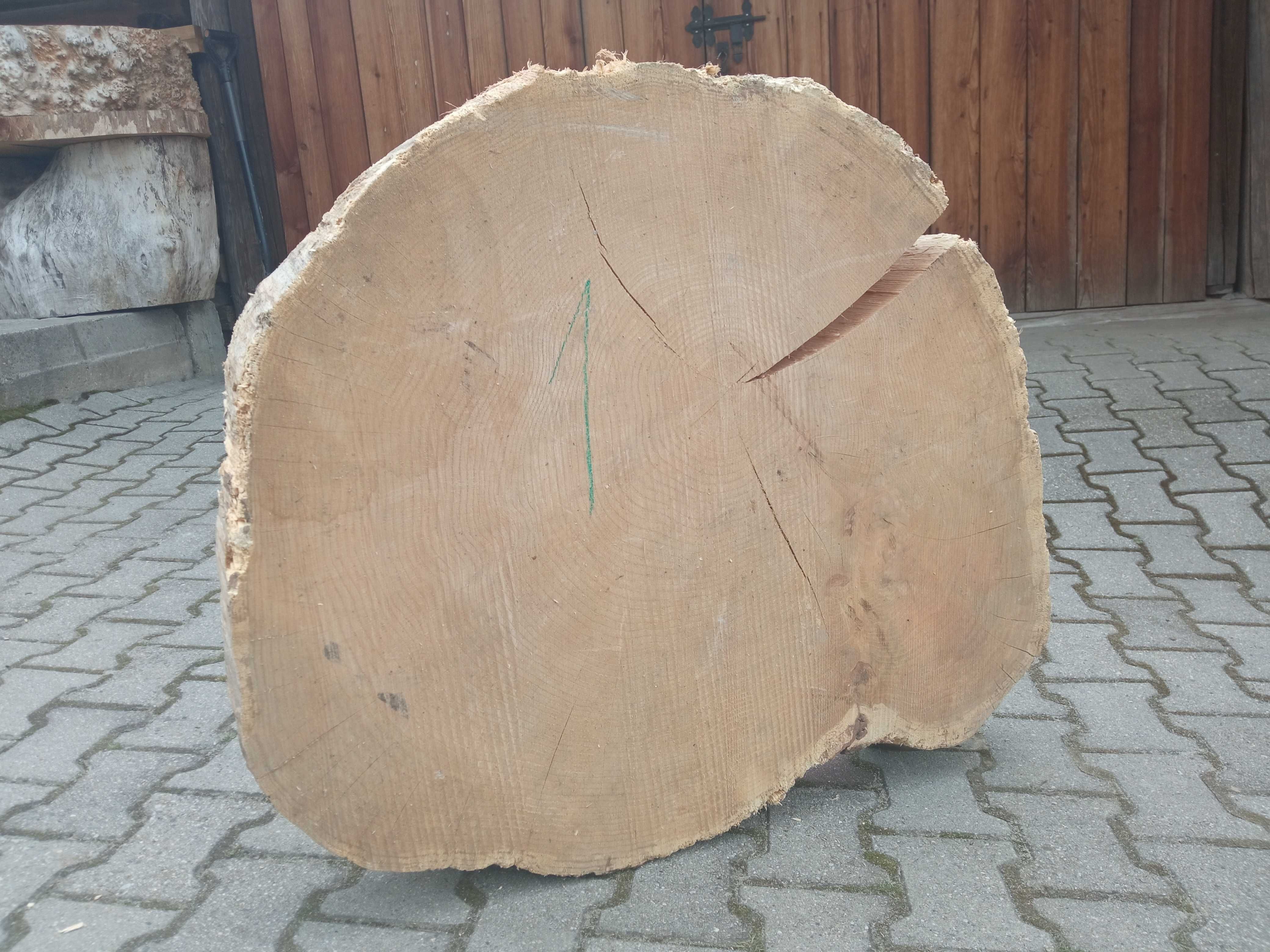 PLASTER drewna BARDZO DUŻY DĄB Jesion Pow. 80cm!