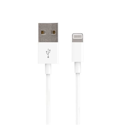 Kabel Usb Apple Iphone 5 5S 5C 6 Ipad 1M Forever