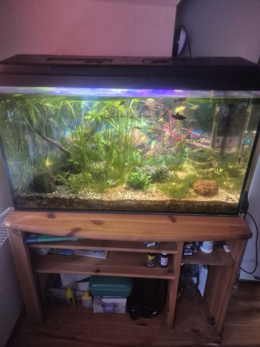 Akwarium diversa 125l