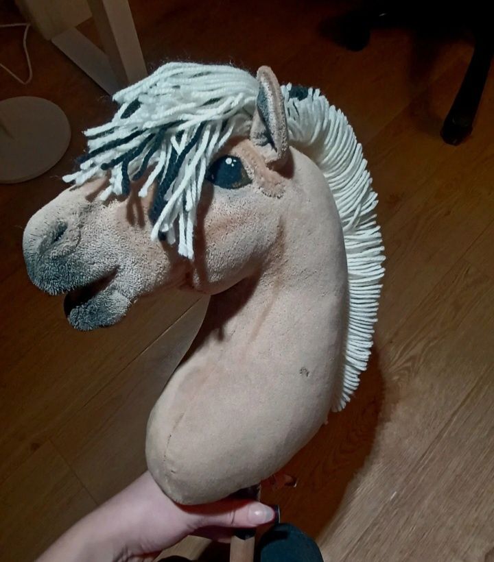 hobby horse skokowy fiord