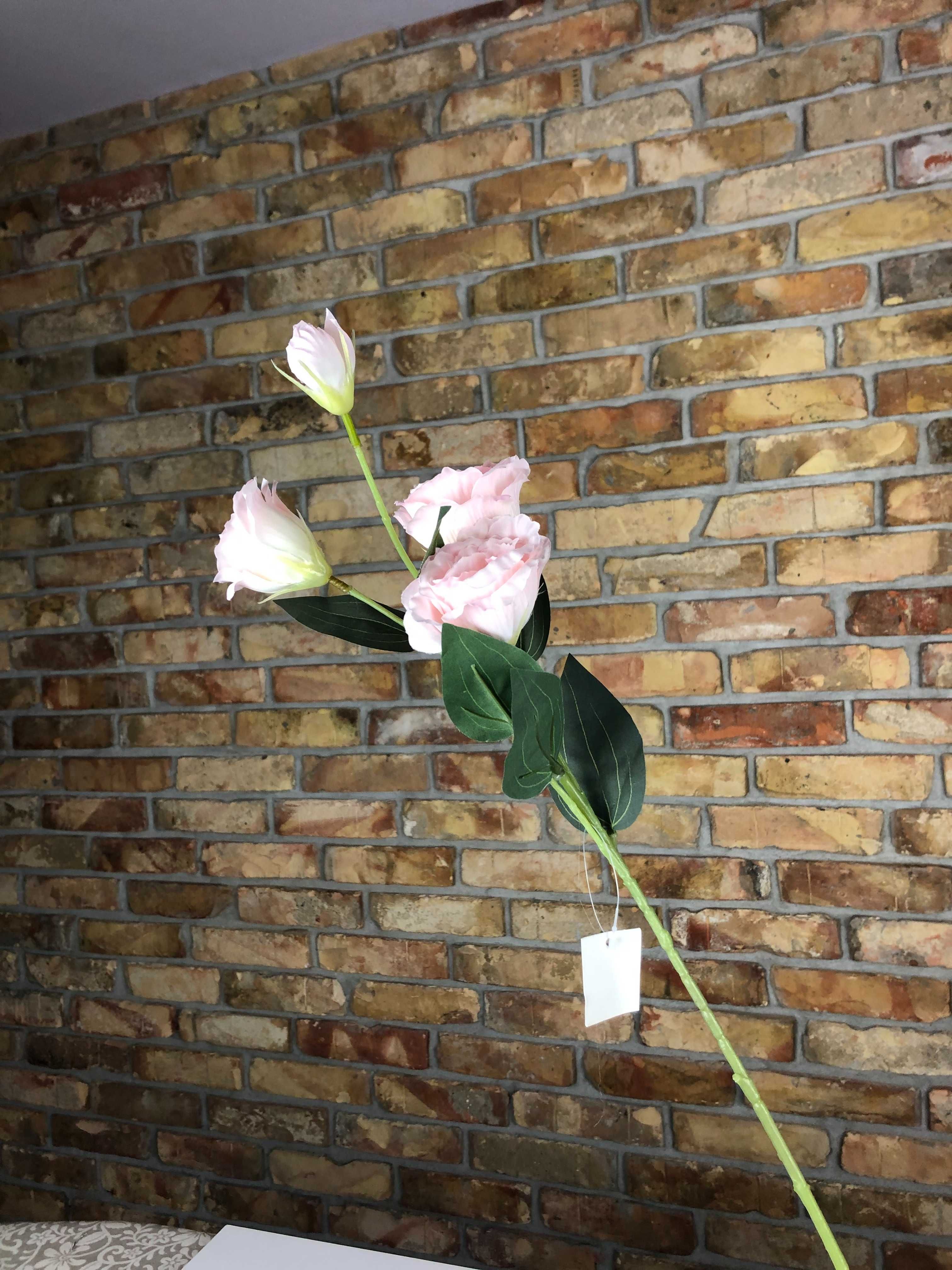 Eustoma 70cm kolor biały 1gałązka