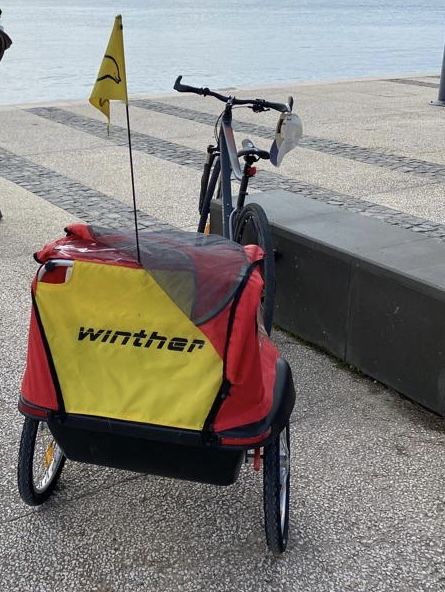 Atrelado bicicleta Dolphin