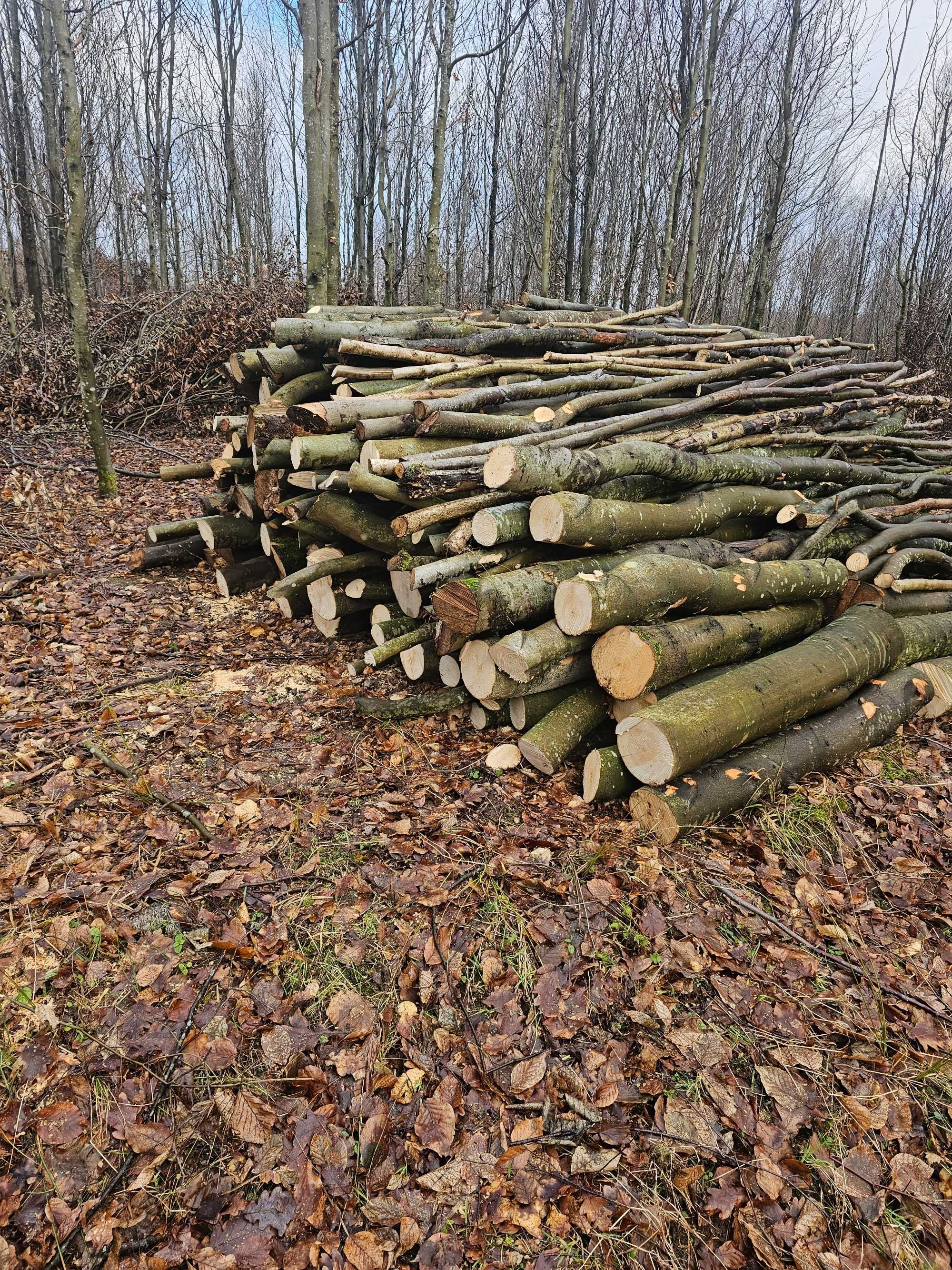 Sprzedam Drewno opałowe