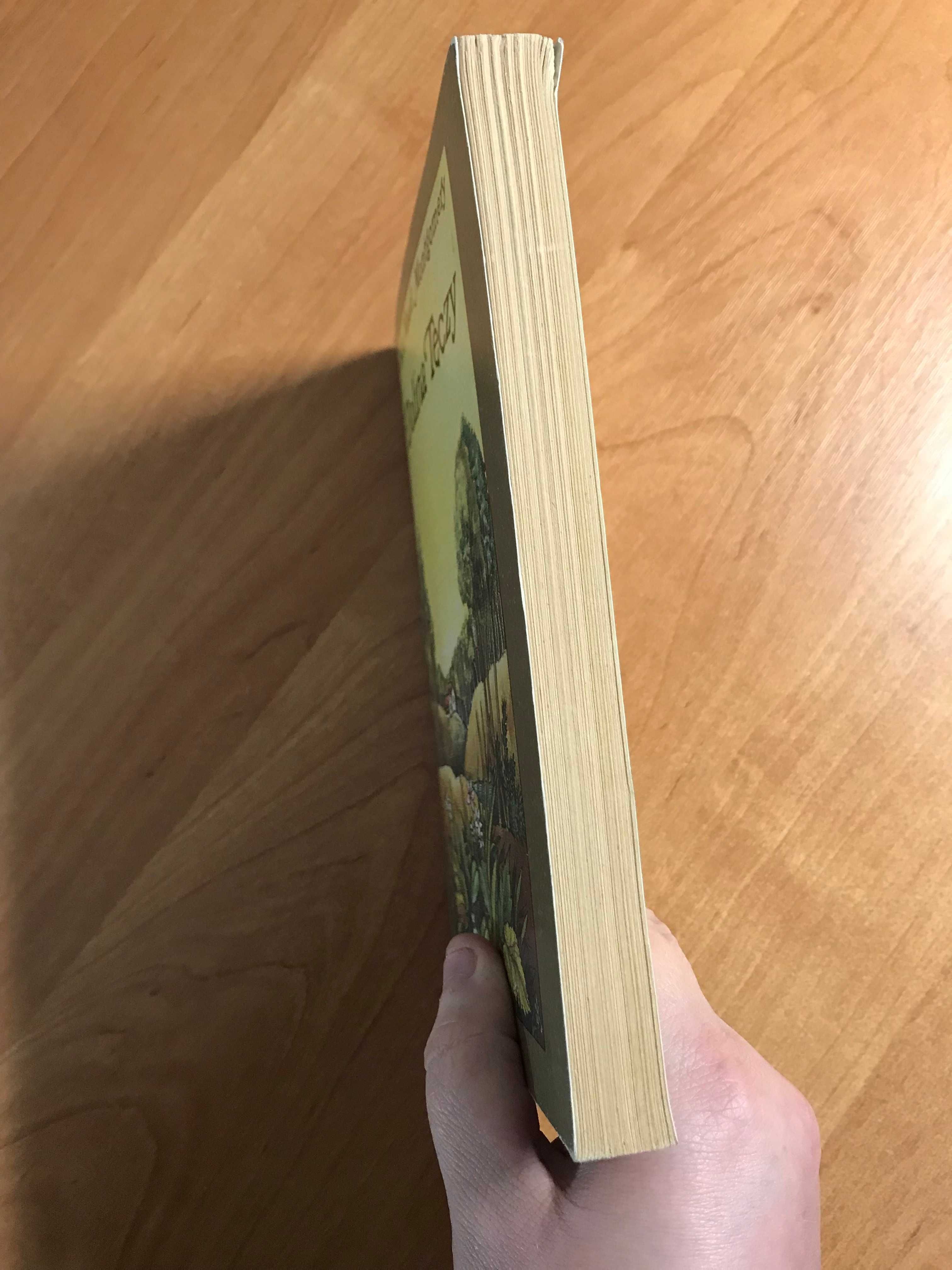 /Ania z Zielonego Wzgórza/ Dolina tęczy Lucy Maud Montgomery 1985r.