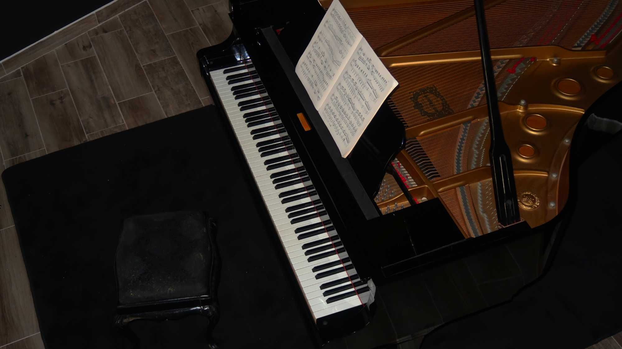Aulas de Piano : Piano Lessons  – Caldas da Rainha