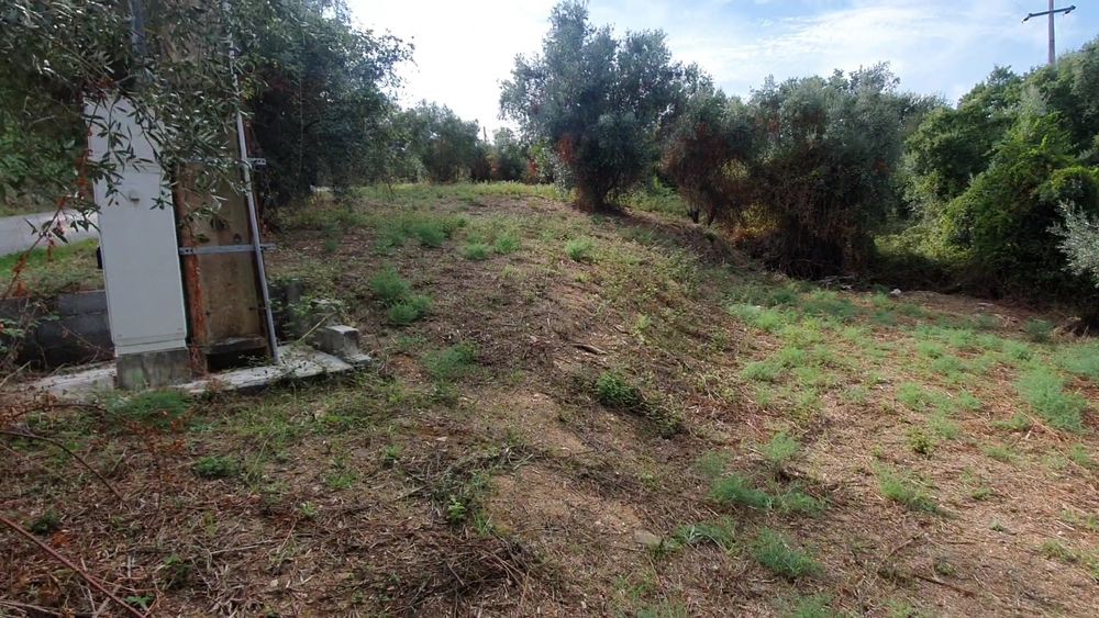 Terreno junto a Praia Fluvial de Montes (Barragem Castelo de bode)