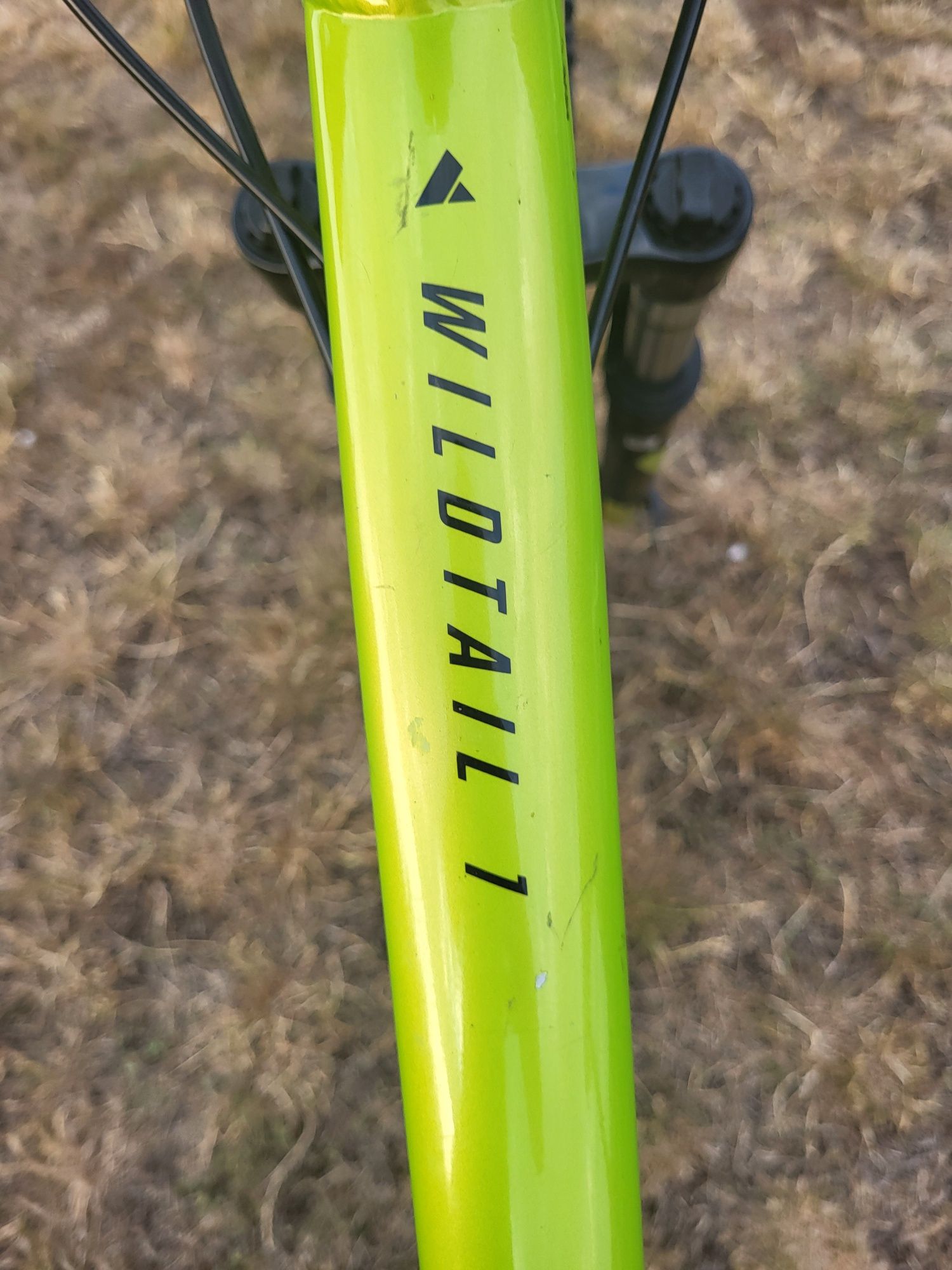 Rower bulls wildtail 1          26"