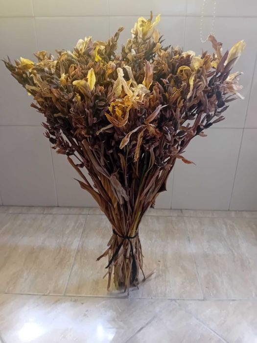 Ramos de flores secas longos para jarra ou jarrao