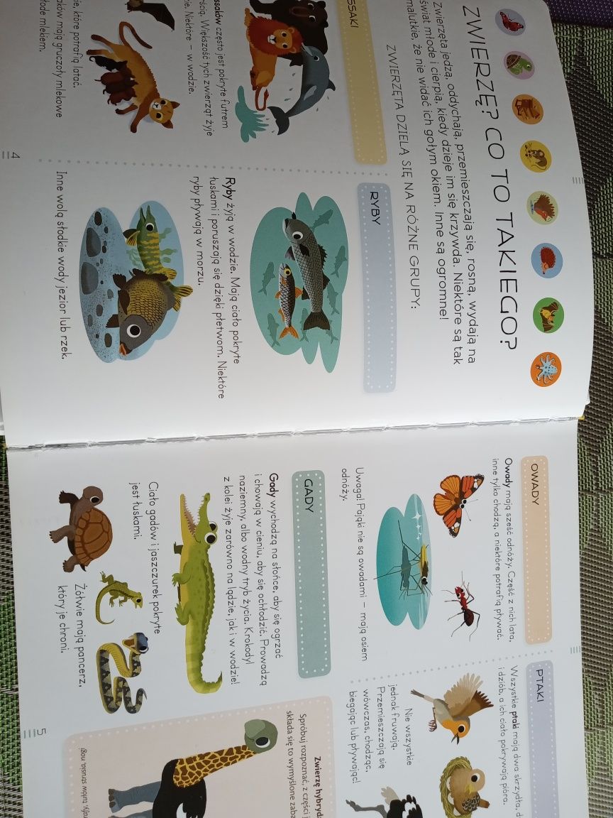 Encyklopedia zwierząt książka dla dzieci