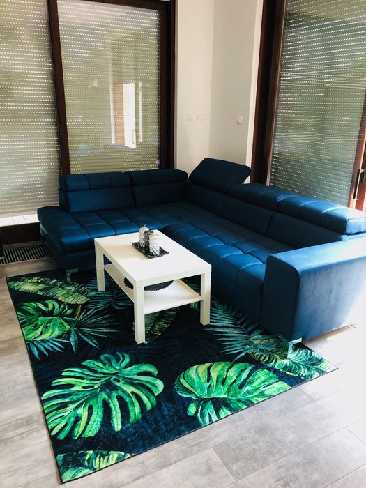 Na sprzedaż piękny, antypoślizgowy dywan z motywem dżungli