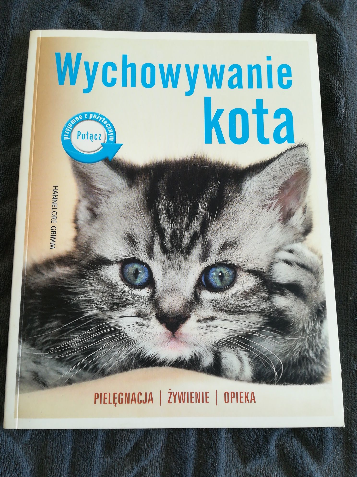 Wychowywanie kota