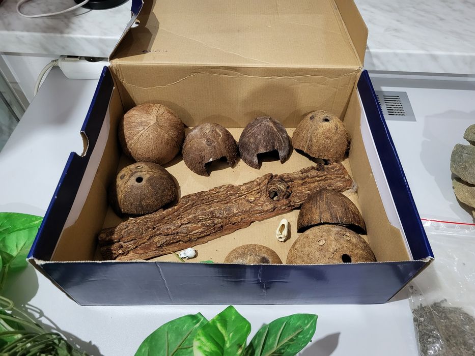 Kamienie piaskowiec liście kora kokosy skrytka ozdoby do terrarium