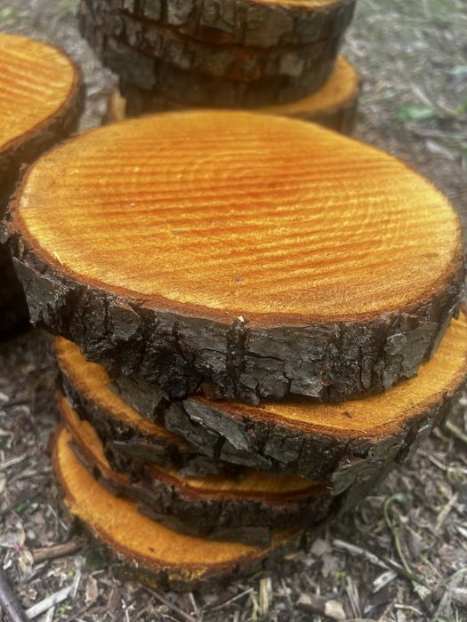 12 szt Pieńki, podkladki drewno naturalne, boho