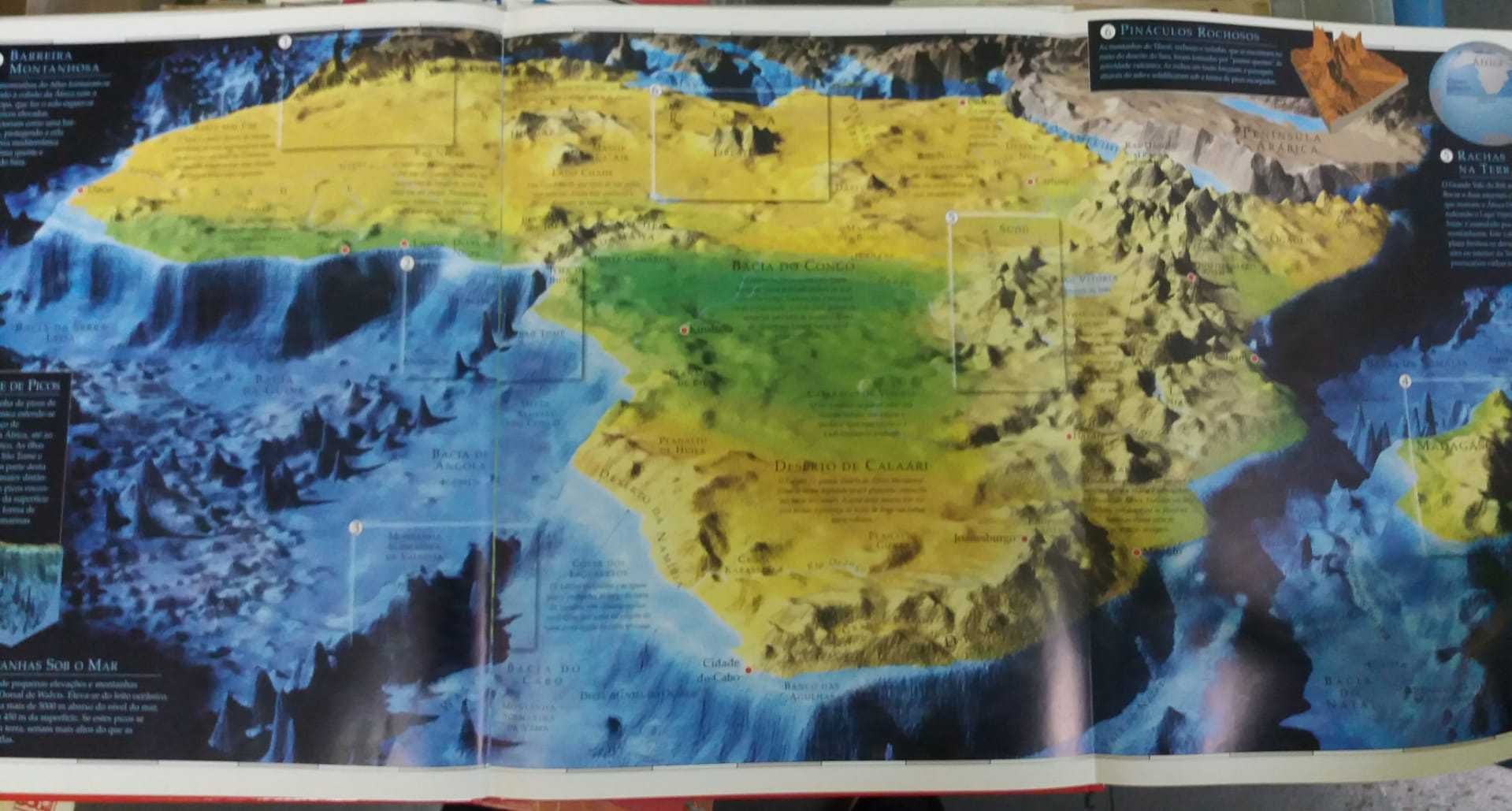 Livros O Corpo Humano/Atlas Panorâmico