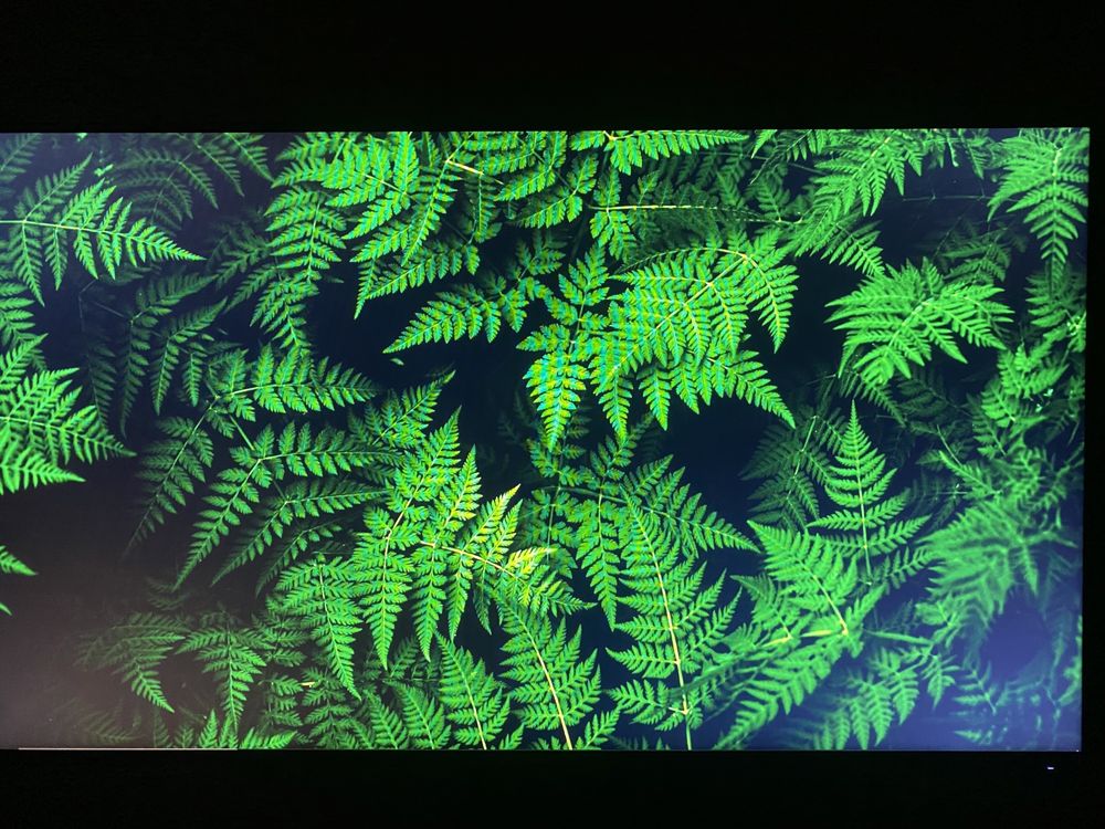 DELL Ultra Sharp 24 Monitor U2419H LCD