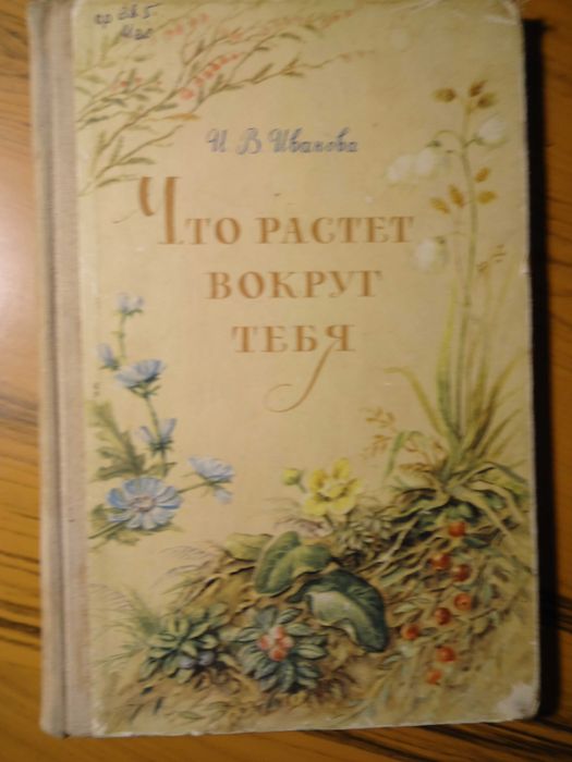 И.В. Иванова - Что растет вокруг тебя