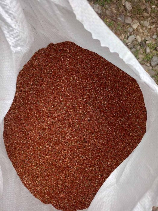 Продам зерно чумізи ,могару