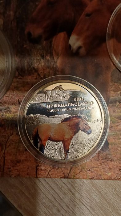 Монета НБУ "Кінь Пржевальского" номінал ₴5