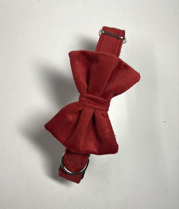 Welurowa obroża z kokardą