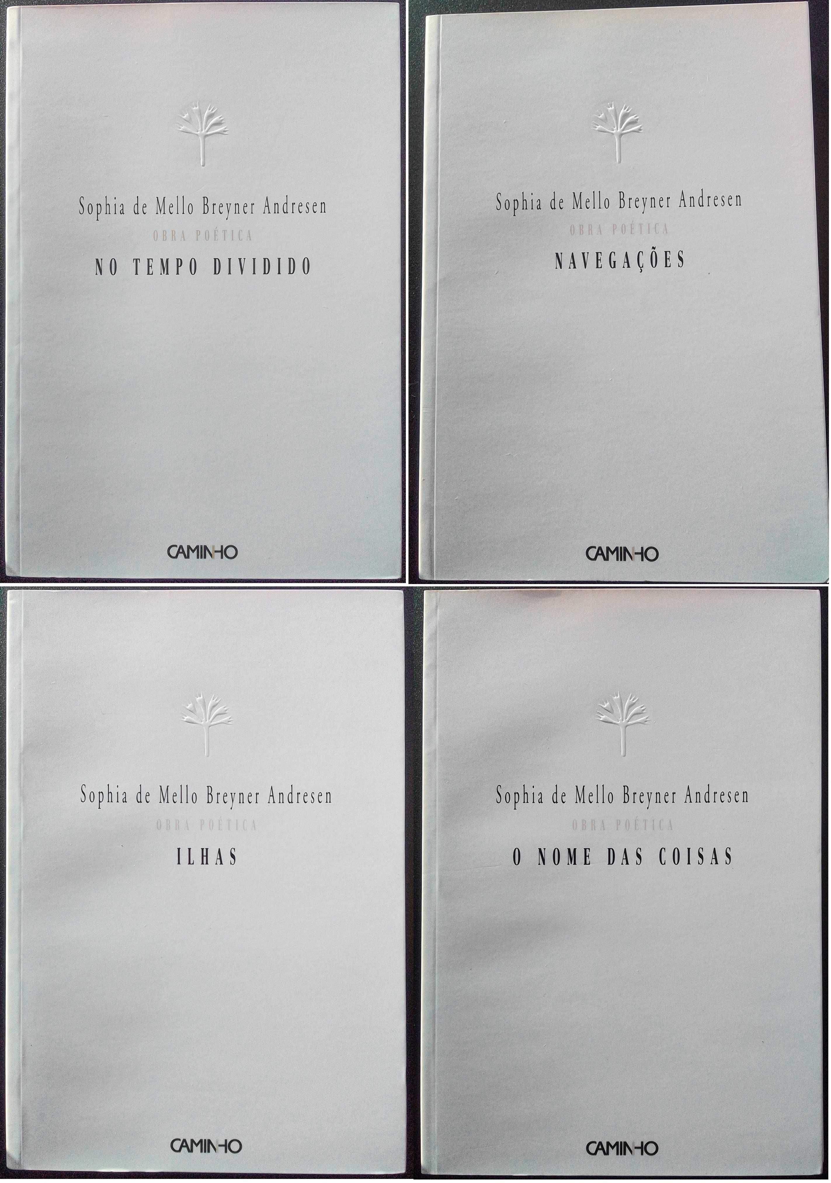 Lote de 23 livros de poesia