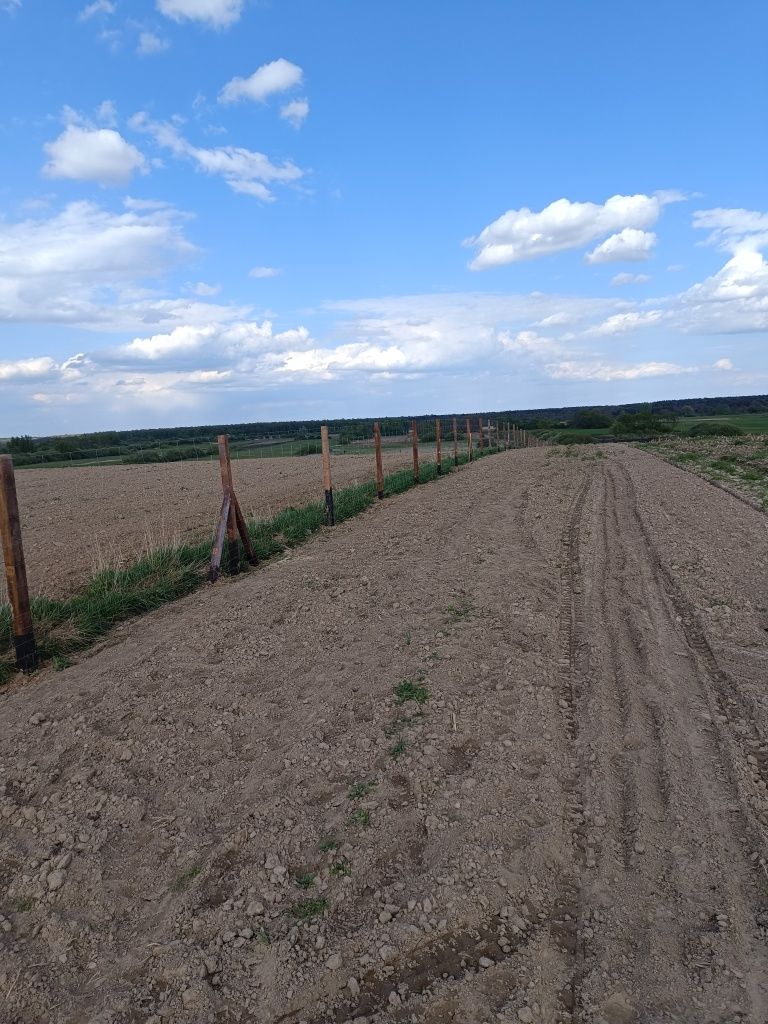 Ogrodzenie tymczasowe siatka leśna