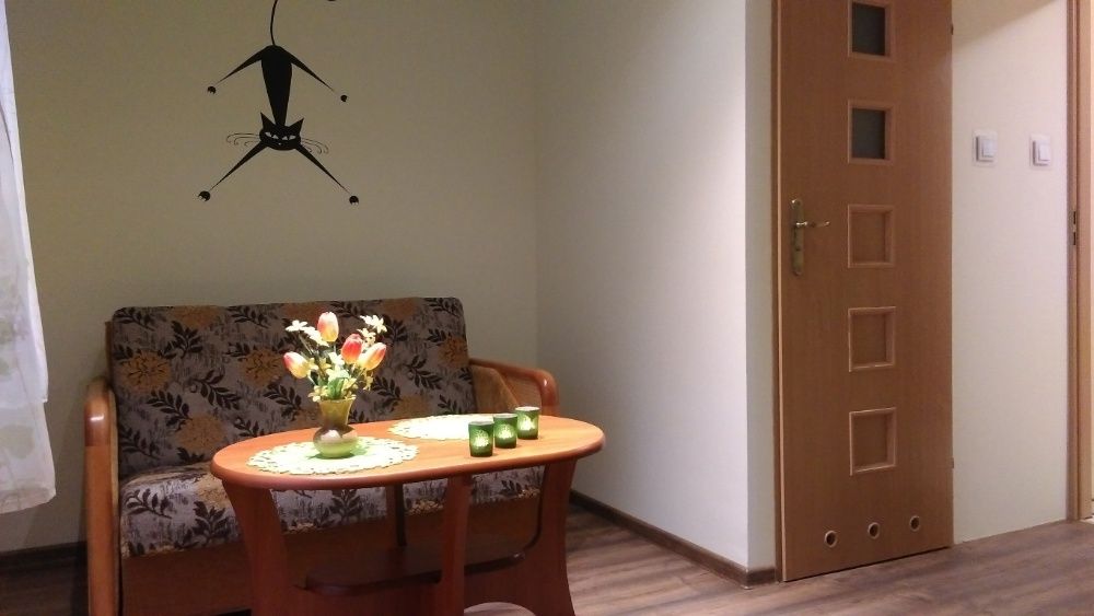 Willa 7 Kotów - apartament/pokoje - Karpacz/Karkonosze