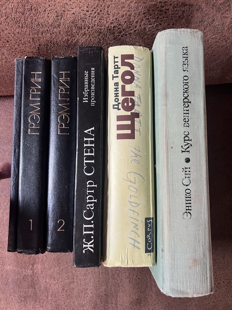 Сартр,Грэм Грин,Курс венгерского языка,Донна Тартт,Фридрих Шиллер.