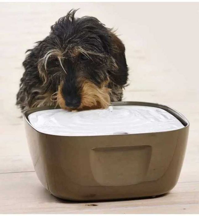 Savic (Савик) Volcano фонтан-поилка для собак и котов.