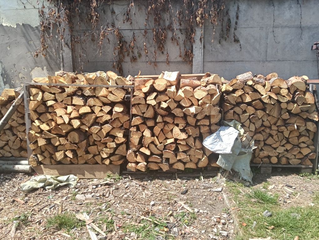 Drzewo na opał lupane sosna