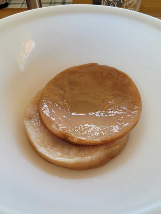 Zdrowy Grzybek Scoby, Kombucha, pyszny i zdrowy napój