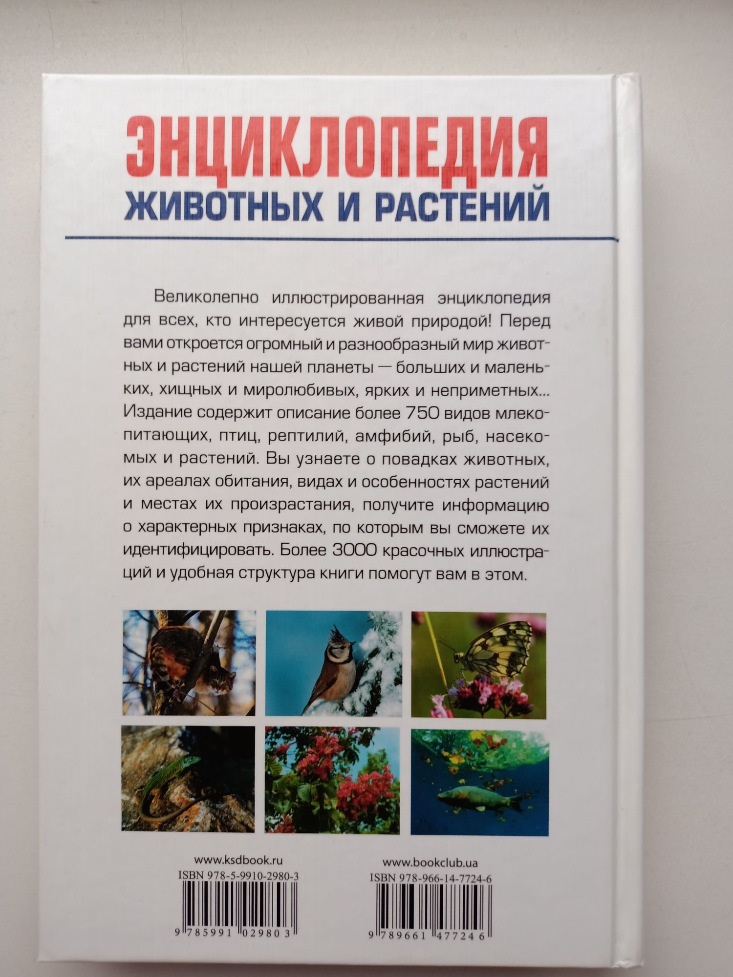 Энциклопедия животных и растений