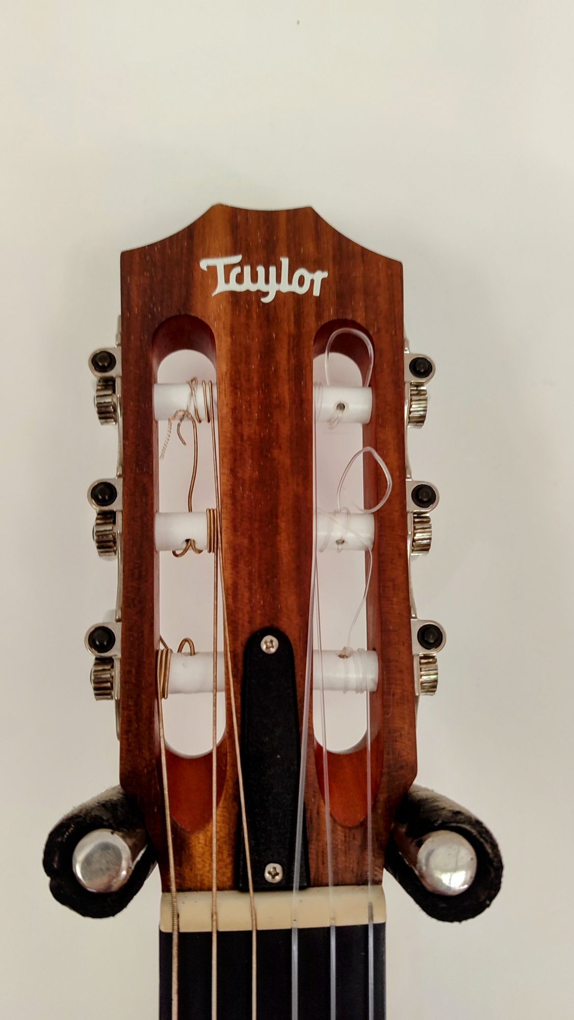 Guitarra Taylor Academy 12e-n