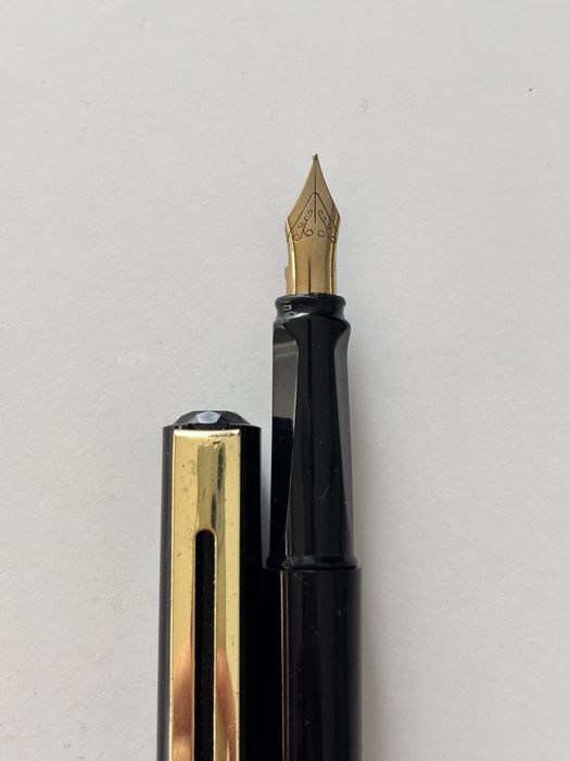 Pioro wieczne + etui