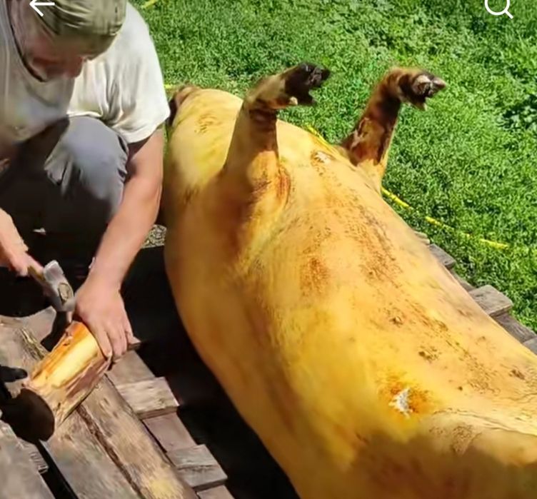 Продам кабана частинами