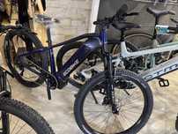 Rower elektryczny Ecobike Rx 500, Suv Expedition wiele