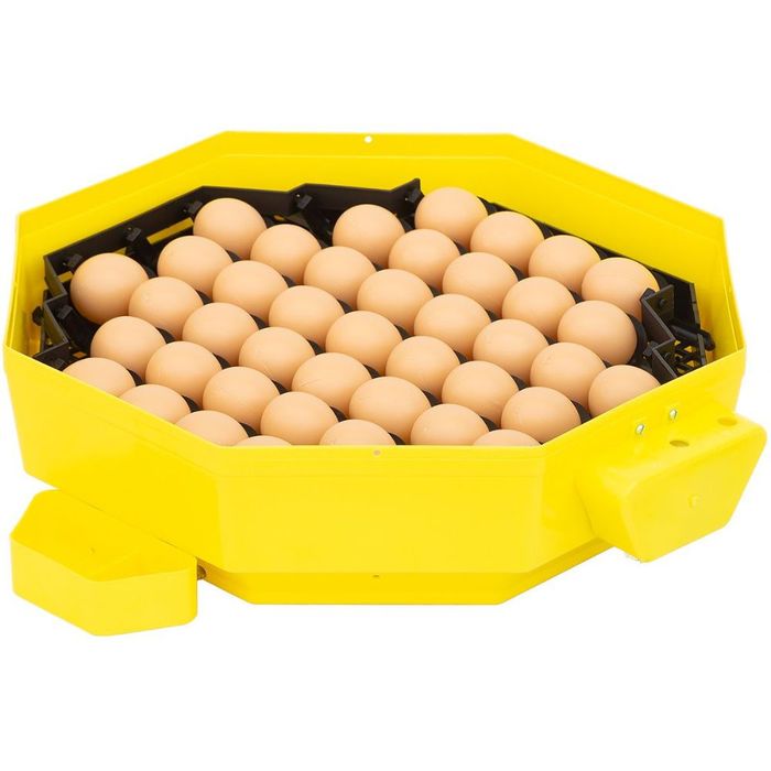 Inkubator do jaj iBator Home AUTO z silnikiem, automatyczny obrót jaj