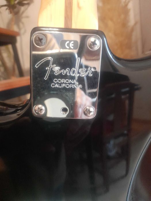 Fender Stratocaster USA + Case