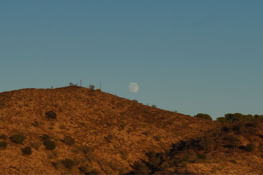 Câmara Sony alpha Nex-3N