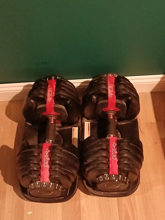 Hantle regulowane 24kg