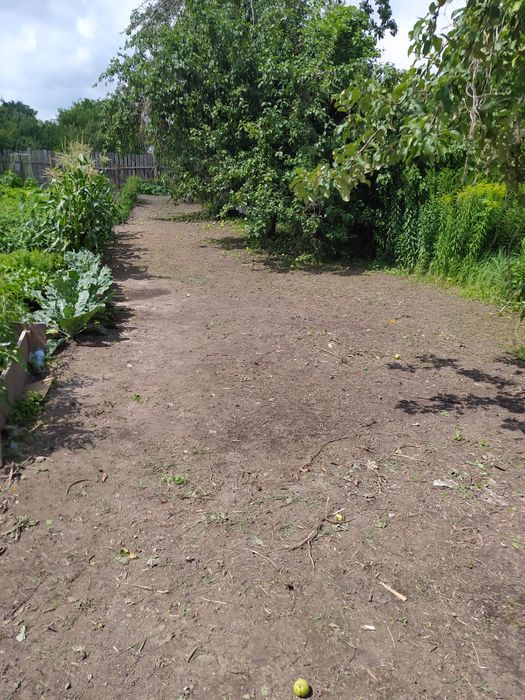 Участие город Шостка