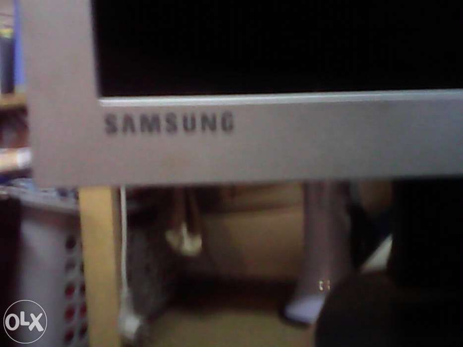 monitor samsung syncmaster 173s